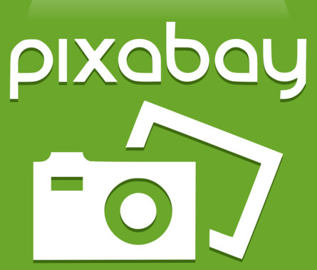 Forêt éclairée par le soleil